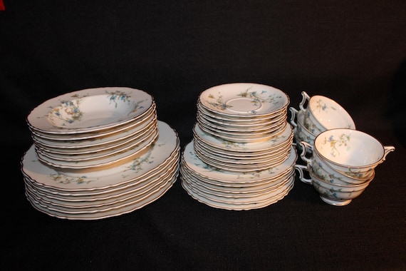 RARE Theodore Haviland Limoges France FLEURETTE Fine China Set for