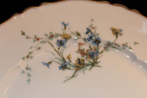 RARE Theodore Haviland Limoges France FLEURETTE Fine China Set for