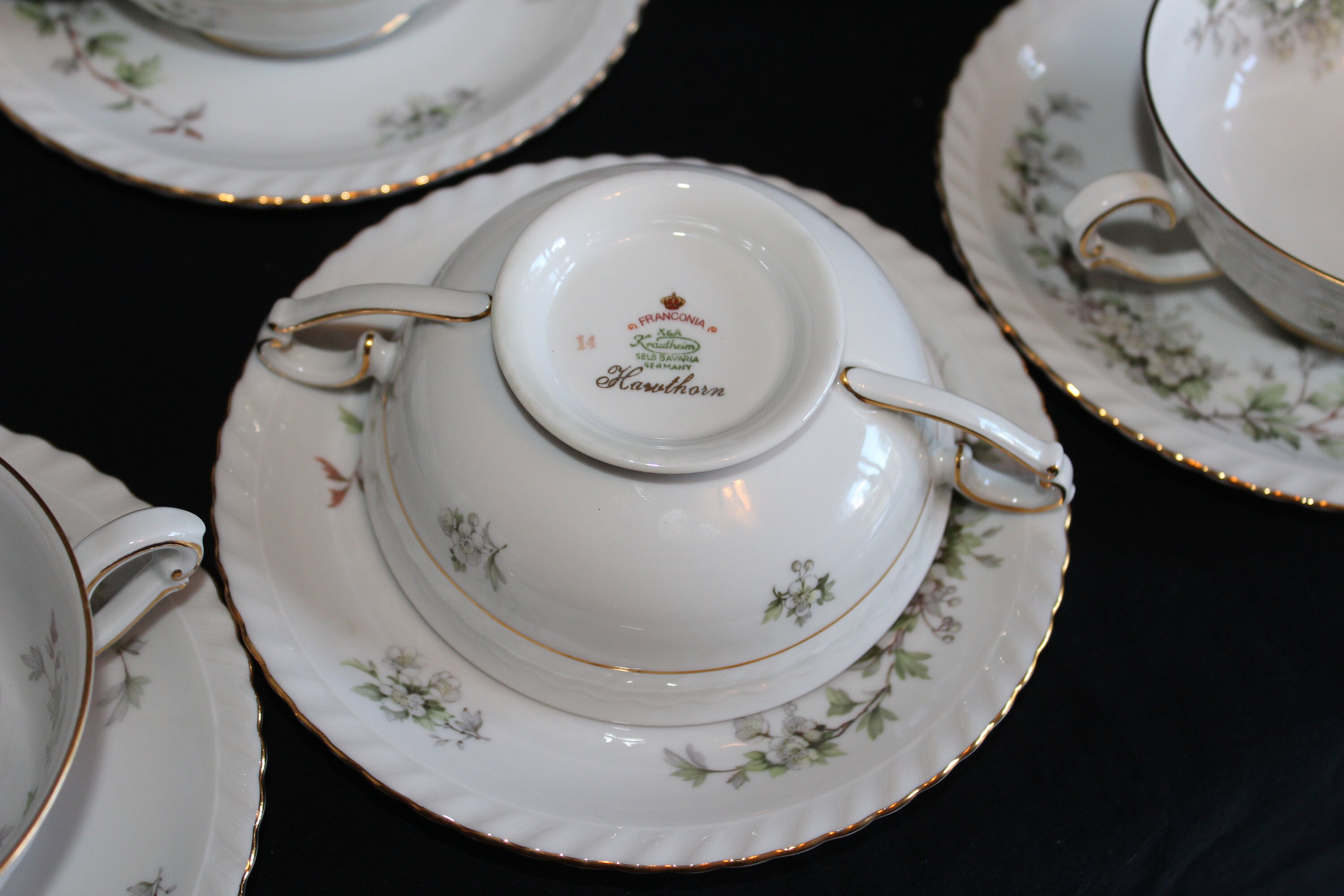 Exquisite Vintage Franconia Hawthorn Fine China Set of 12 Place