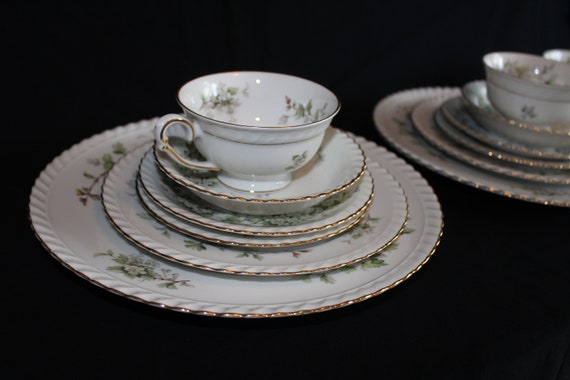 Exquisite Vintage Franconia Hawthorn Fine China Set of 12 Place