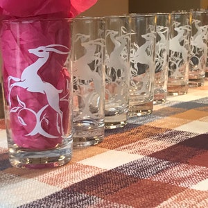 Ombr\u00e9 Tumbler