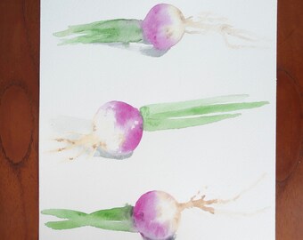Radish watercolor / / Illustration / / wall decor / / gift / / culinary art / / kitchen poster / / vegetables