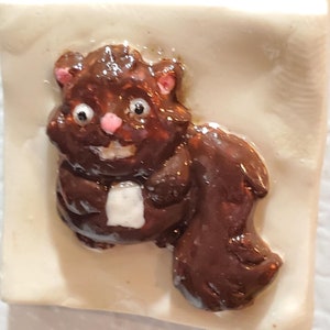 Refrigerator Magnet of A Brown and White Phabrisaur Squirrel Species