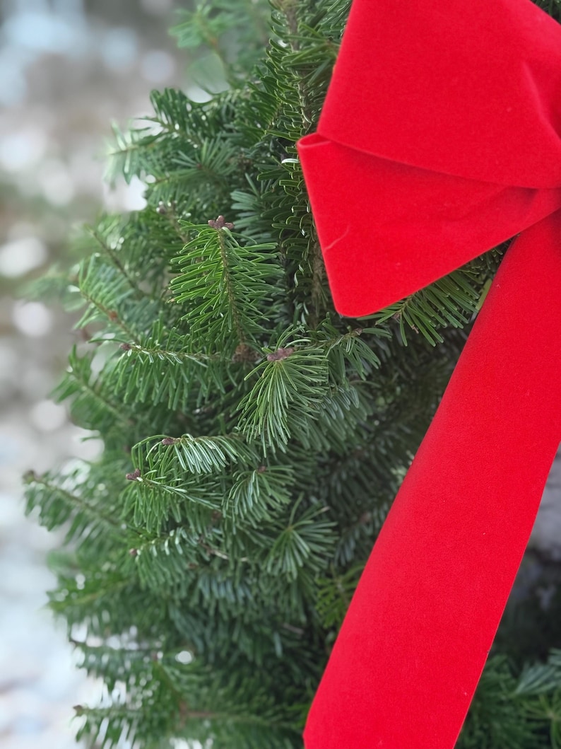 Cyber Monday! 22” Fresh Balsam Fi Christmas Wreath with Red Velvet Bow. UPS shipping. image 3