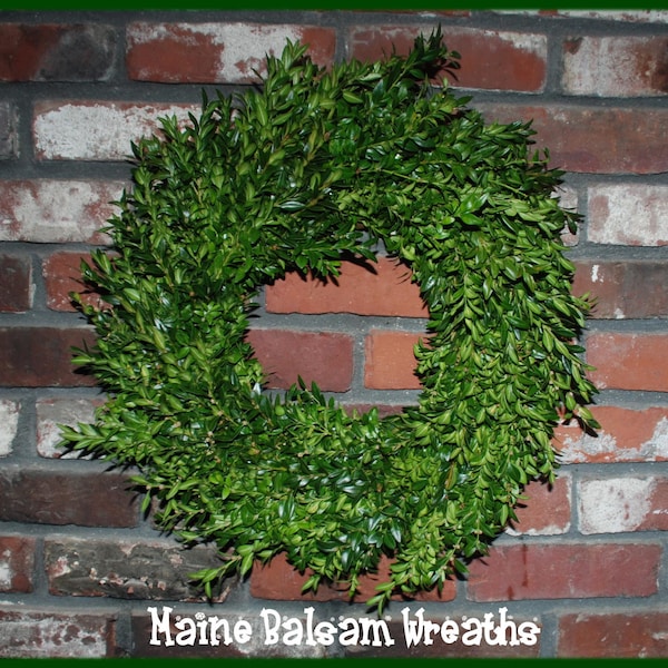 Boxwood 20" Fresh Plain Live Foliage Fresh Christmas Wreath