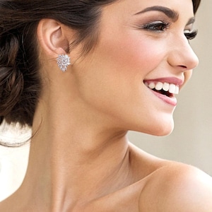 Cubic Zirconia Wedding Gauges: Silver Plated Bridal Plugs