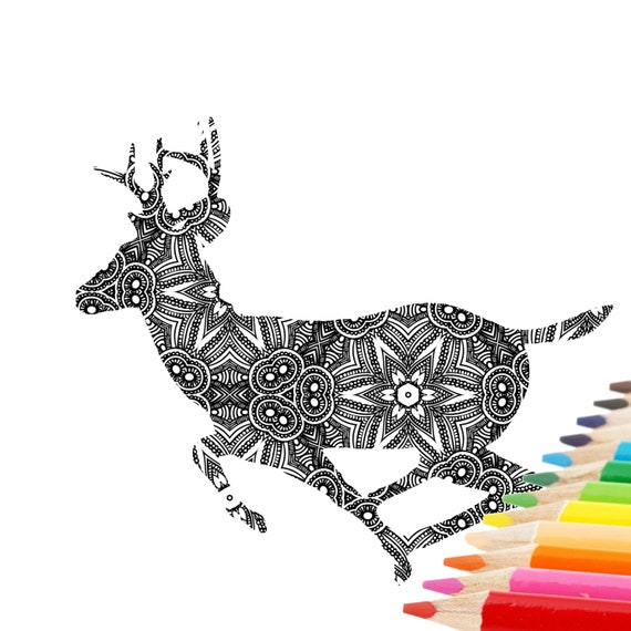 54+ Coloring Book Deer Pictures Picture HD 54+ Coloring Book Deer Pictures Picture HD
