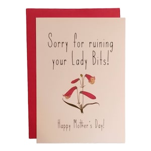 Sorry for Ruining Your Lady Bits