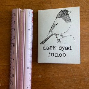 May include: A black and white illustration of a dark-eyed junco bird perched on a rock. The text "dark eyed junco" is printed below the bird.