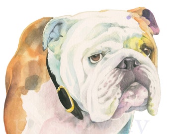 English Bulldog fine art print of original watercolor painting. Limited edition.