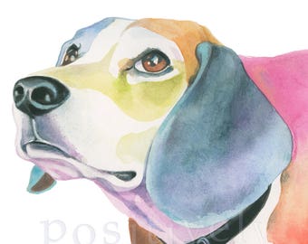 Beagle fine art dog print of original watercolor painting. Limited edition.