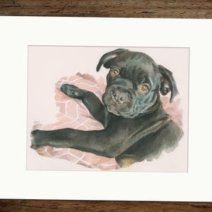 Puede incluir: Una pintura de acuarela de un cachorro negro con ojos marrones, acostado sobre una manta de estampado rosa y blanco. El cachorro est&aacute; mirando directamente al espectador.