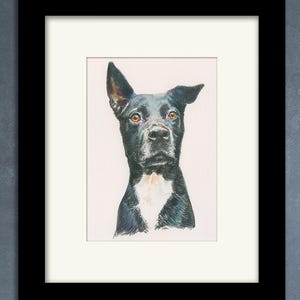 May include: A black and white dog with brown eyes is depicted in a watercolor painting. The dog is looking up and has a white patch on its chest.