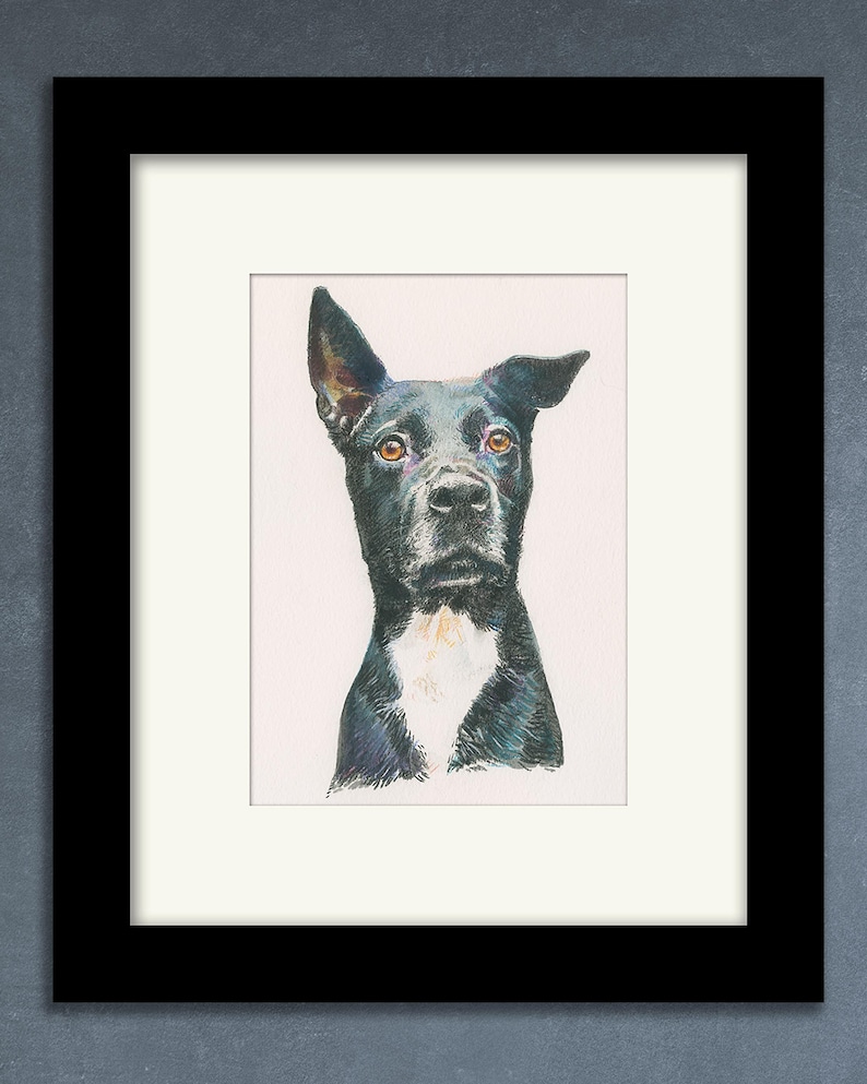 May include: A black and white dog with brown eyes is depicted in a watercolor painting. The dog is looking up and has a white patch on its chest.
