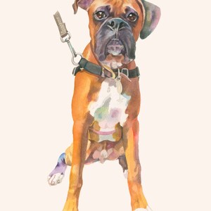 Puede incluir: Una pintura de acuarela de un perro boxer marr&oacute;n y blanco sentado con las patas delanteras cruzadas. El perro lleva un collar negro y una correa.