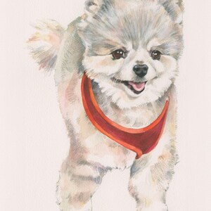 May include: A watercolor painting of a small, white dog with a red collar. The dog is looking at the viewer with a happy expression.