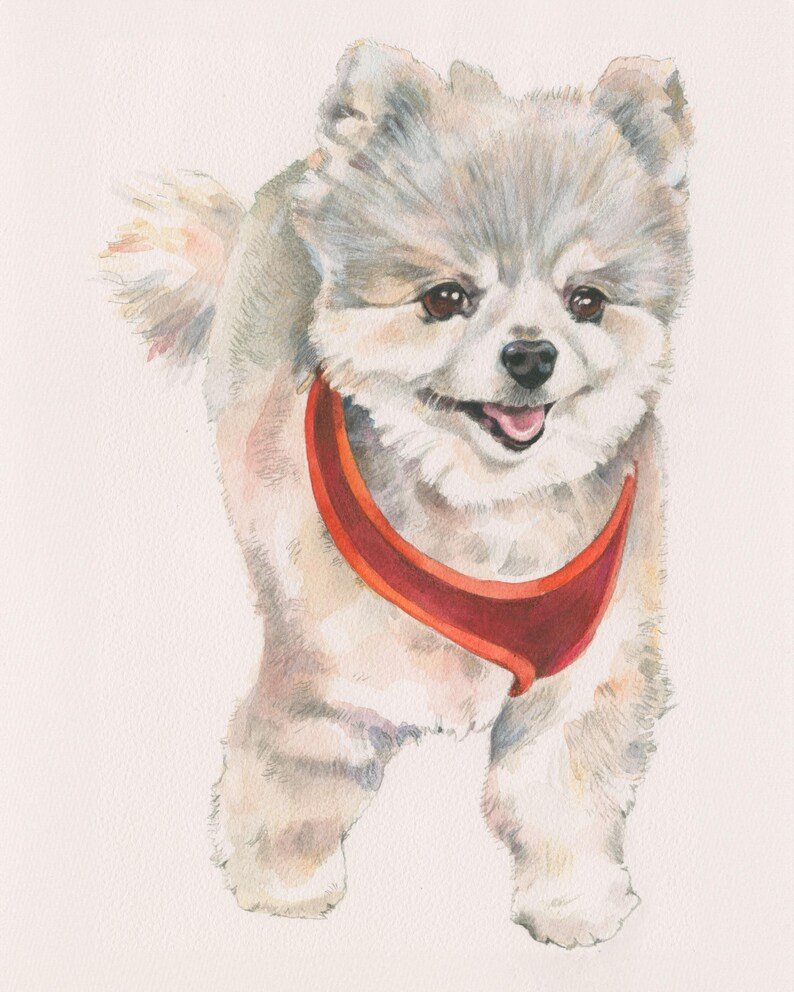 May include: A watercolor painting of a small, white dog with a red collar. The dog is looking at the viewer with a happy expression.