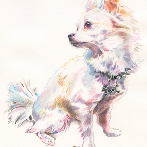 Puede incluir: Una pintura de acuarela de un chihuahua blanco con un collar negro tachonado y un dije de calavera. El perro est&aacute; sentado con la cabeza girada hacia un lado y la cola enroscada.