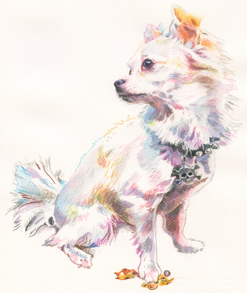 Puede incluir: Una pintura de acuarela de un chihuahua blanco con un collar negro tachonado y un dije de calavera. El perro est&aacute; sentado con la cabeza girada hacia un lado y la cola enroscada.