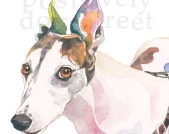 Greyhound fine art dog print. Limited edition.