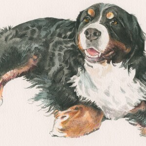 Puede incluir: Una pintura de acuarela de un perro de monta&ntilde;a bern&eacute;s acostado con la cabeza girada hacia un lado. El perro tiene pelo negro, blanco y marr&oacute;n y est&aacute; sonriendo.