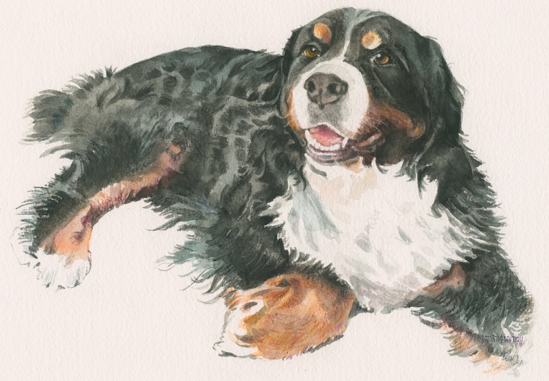 Puede incluir: Una pintura de acuarela de un perro de monta&ntilde;a bern&eacute;s acostado con la cabeza girada hacia un lado. El perro tiene pelo negro, blanco y marr&oacute;n y est&aacute; sonriendo.