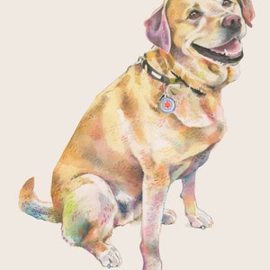 Puede incluir: Una pintura de acuarela de un labrador retriever marr&oacute;n claro sentado con la boca abierta y la lengua fuera. El perro lleva un collar negro con una etiqueta que tiene una cruz roja.