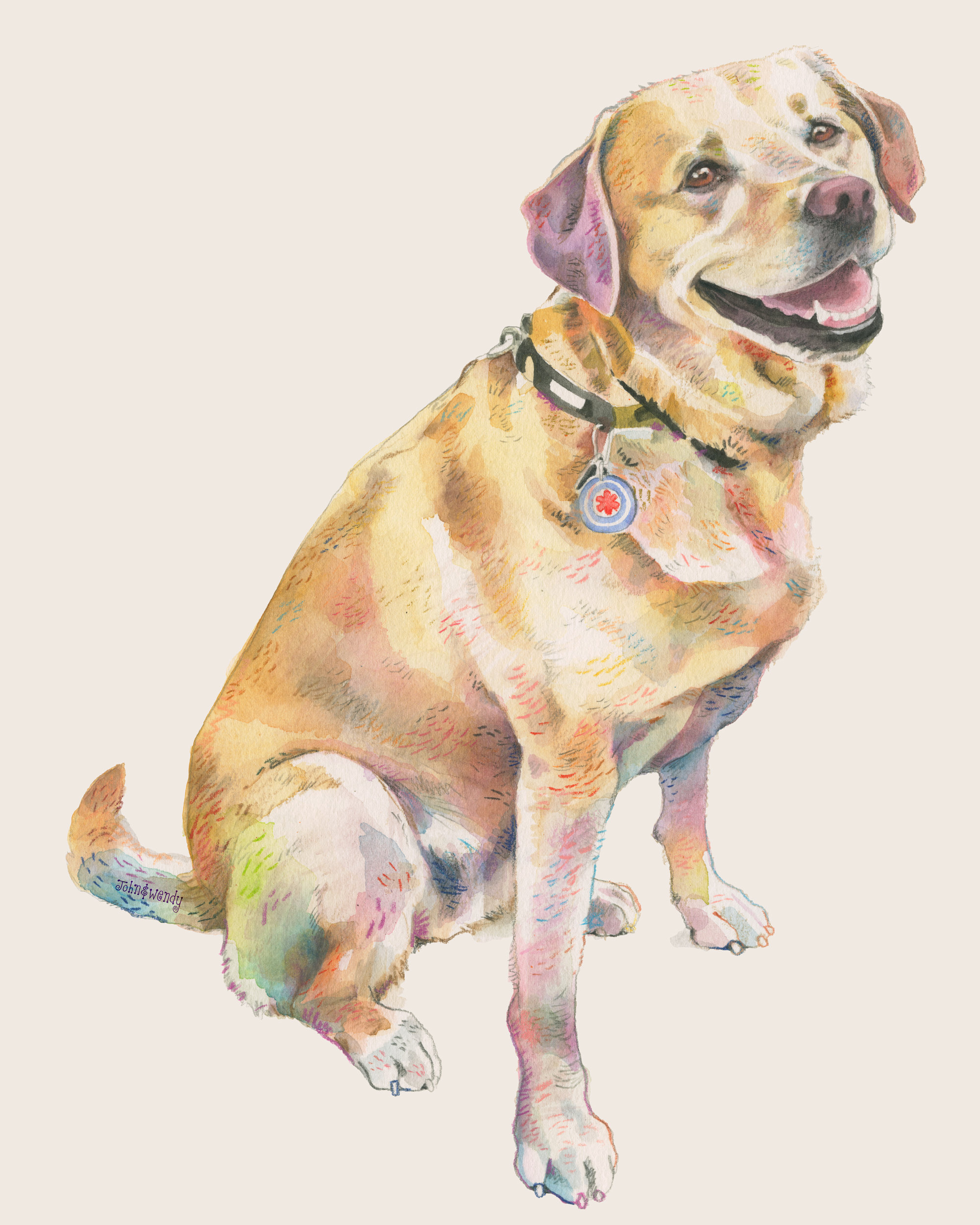 Puede incluir: Una pintura de acuarela de un labrador retriever marr&oacute;n claro sentado con la boca abierta y la lengua fuera. El perro lleva un collar negro con una etiqueta que tiene una cruz roja.