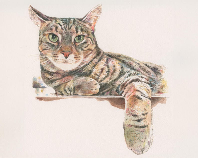 May include: A detailed pencil drawing of a tabby cat with green eyes. The cat is lying on its side with its front paws resting on a surface. The cat's tail is curled around its body.