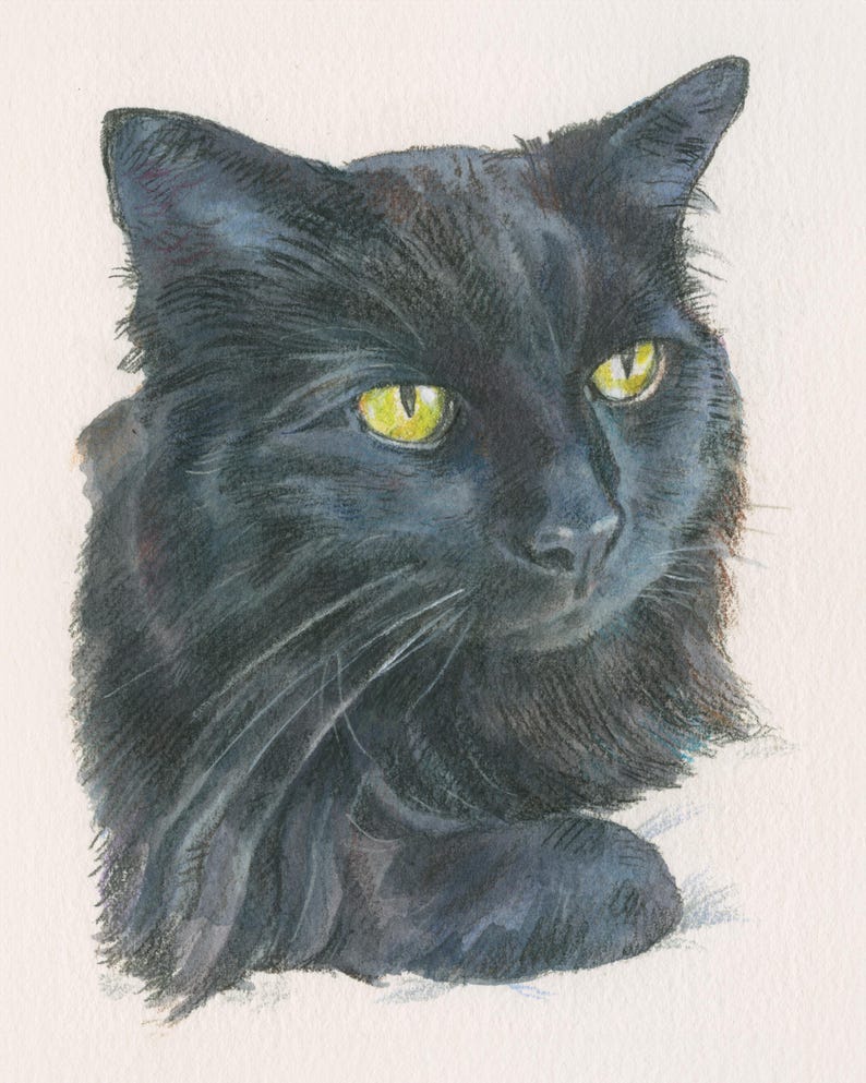 May include: A black cat with bright yellow eyes stares intently at something off-camera. The cat's fur is soft and fluffy, and its whiskers are long and prominent.