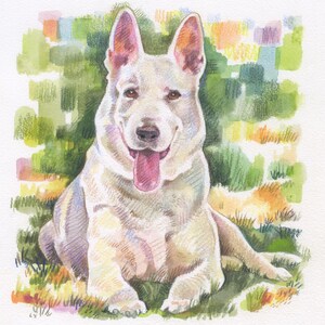 May include: A watercolor painting of a white German Shepherd dog sitting in the grass with its tongue sticking out. The dog has a happy expression on its face.