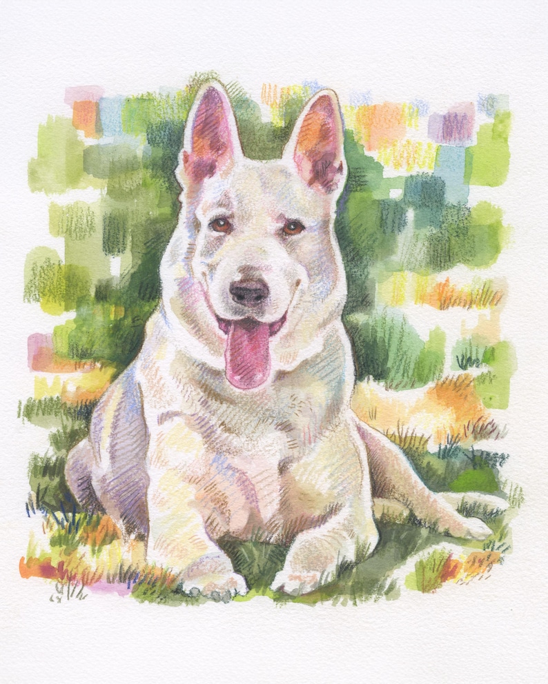 May include: A watercolor painting of a white German Shepherd dog sitting in the grass with its tongue sticking out. The dog has a happy expression on its face.