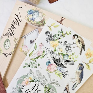 GARDEN MARVELS Decor Transfer by Redesign with Prima, Fast Shipping