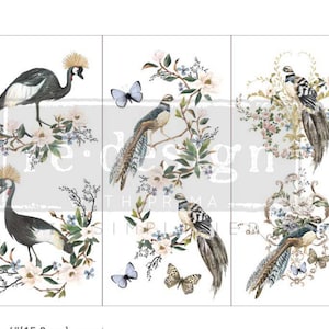 RARE BIRD Decor TRANSFER, Rub on decal, Redesign with Prima, Fast Shipping