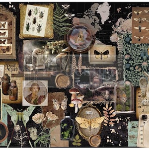 HERBARIUM NOTES DECOUPAGE Tissue Paper, Redesign with Prima, Fast Shipping