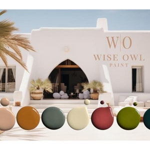 SUMMER In IBIZA Wise Owl Paint New OHE Collection One Hour Enamel Free Shipping