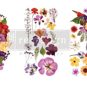 ORGANIC FLORA Rub on Decor Transfer by Redesign with Prima, Fast Shipping