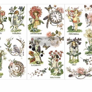 May include: A set of 12 vintage-style illustrations featuring fairies, flowers, and birds. Each illustration is labeled with the name of a flower, such as Dog Rose, Periwinkle, Chrysanthemum, Honeysuckle, Wind Flower, Violet, Snowdrop, Blackberry, Hawthorn.