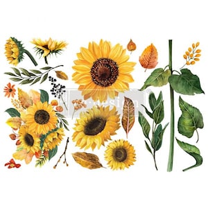 May include: Watercolor illustration of sunflowers, leaves, and berries. The sunflowers are yellow with brown centers. The leaves are green and brown. The berries are black.