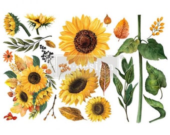 SUNFLOWER AFTERNOON Rub On Decor TRANSFER Decal by ReDesign with Prima, fast shipping!