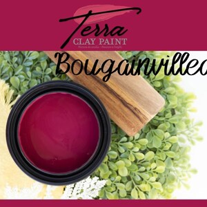 BOUGAINVILLEA TERRA CLAY Paint Dixie Belle Paint Free Shipping