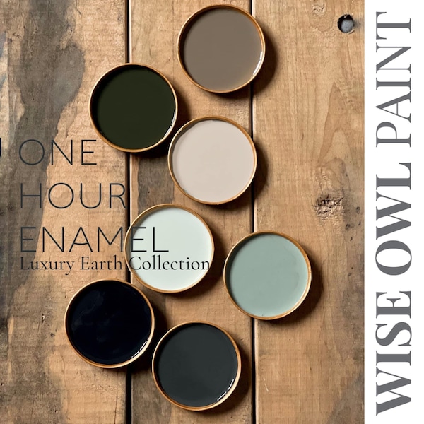 ONE HOUR ENAMEL Wise Owl Paint Luxury Earth Collection Free Shipping