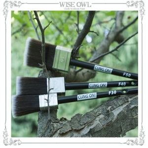 May include: Three black paint brushes with white labels that say "CLING ON!" and "F30", "F40", and "F50". The brushes are on a tree branch.