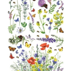 WILDFLOWERS & BUTTERFLIES Transfer by Dixie Belle Paint Belles and Whistles transfer, rub on decal, furniture transfer