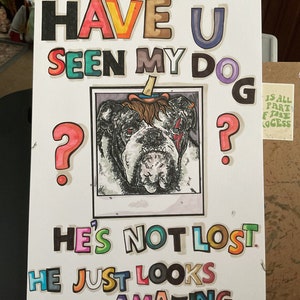 Have you seen my dog ?