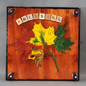 Press, Leaf press, Flower press, travel press, Herb press, wood press, Maple Leaves