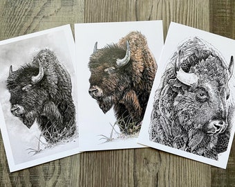 Buffalo, buffalo greeting card, bison on card, prairie greeting card, bison card, card, blank card, greeting card, animal greeting card