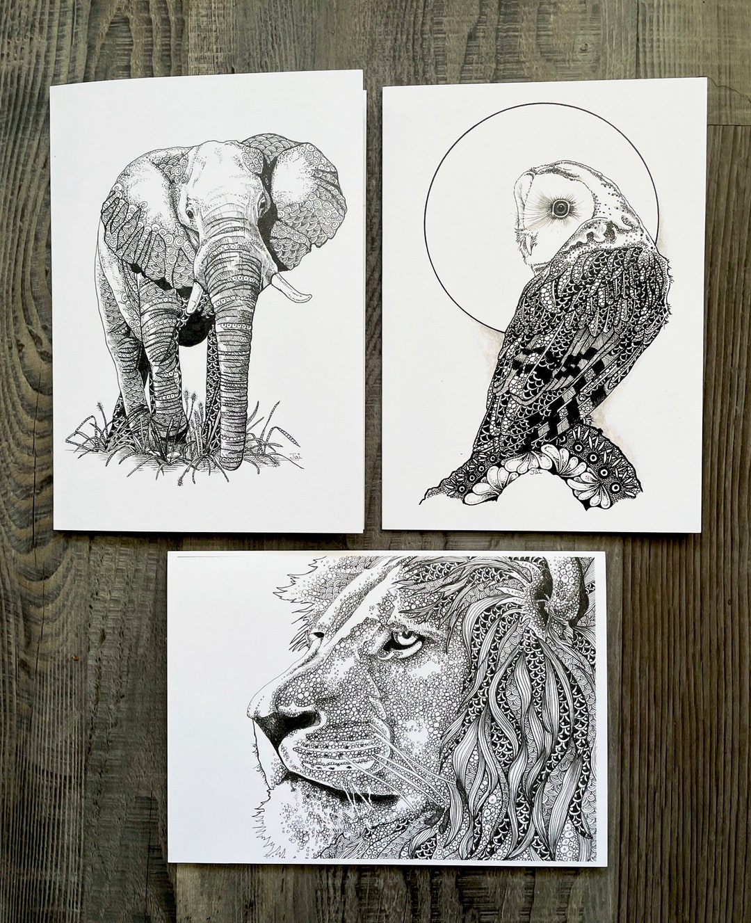 Blank Greeting Cards, Animal Greeting Cards, Lion Card, Elephant Card, Owl Card, 5x7 Cards ...