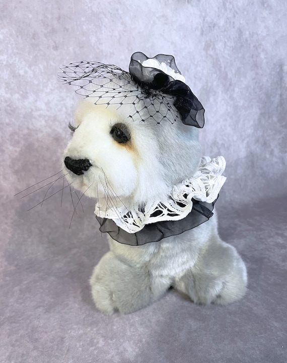 Ours en peluche, bébé phoque, bébé phoque, bébé phoque en peluche