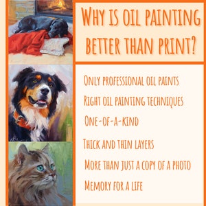 Custom pet portrait, Pet portrait oil, Pet portrait, Custom pet oil painting, Custom oil painting, Pet memorial, Pet lover, Pet loss Pet art image 3